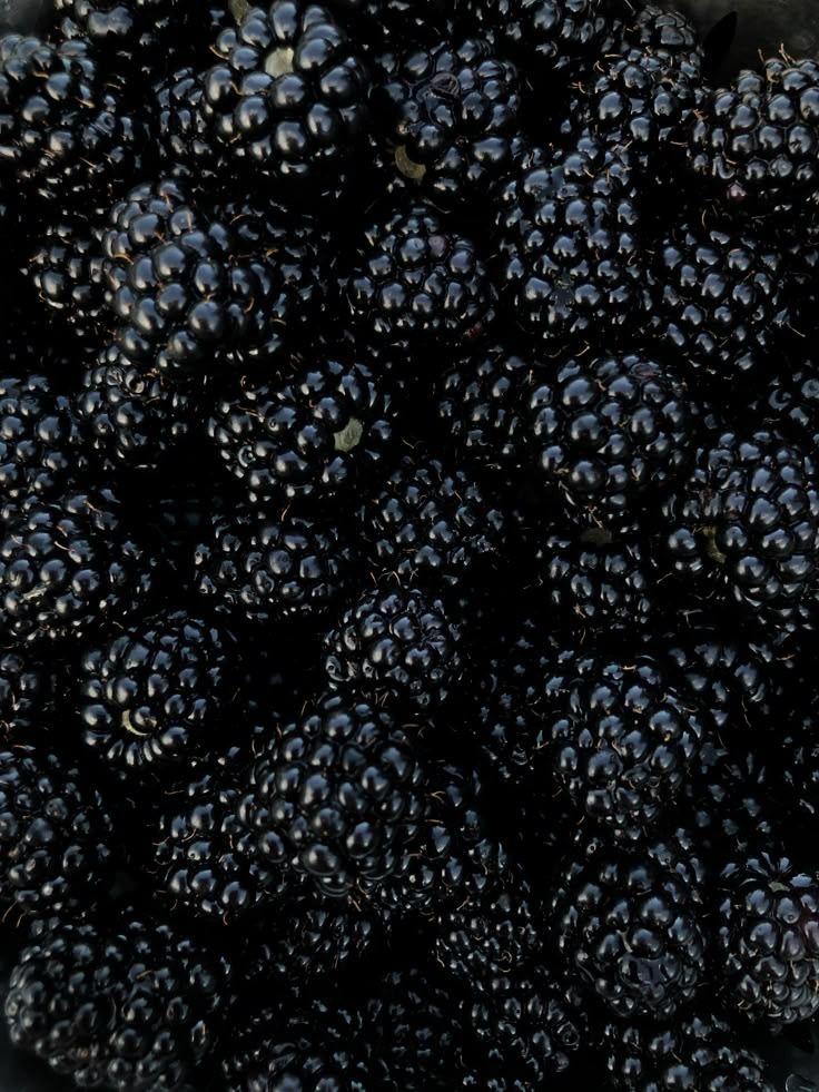 Garden Jewels: Handpicked Berry Medley Mix
