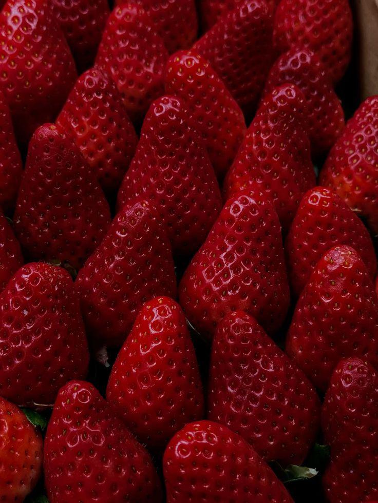 Berry Bounty: Freshness in Every Basket